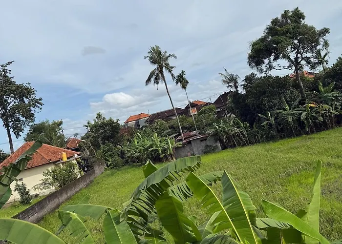 Sawah Dalung (Bali)